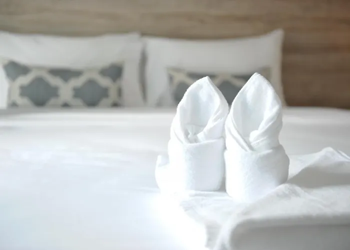 Drop Hotel 3*
